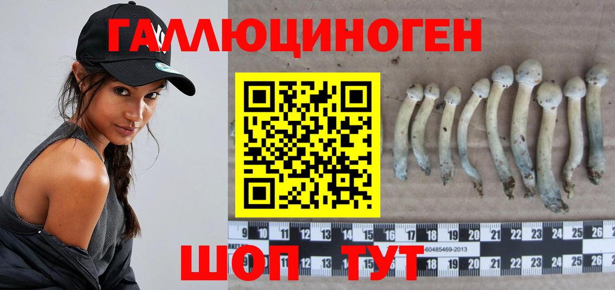 Псилоцибиновые грибы ЛСД Орёл